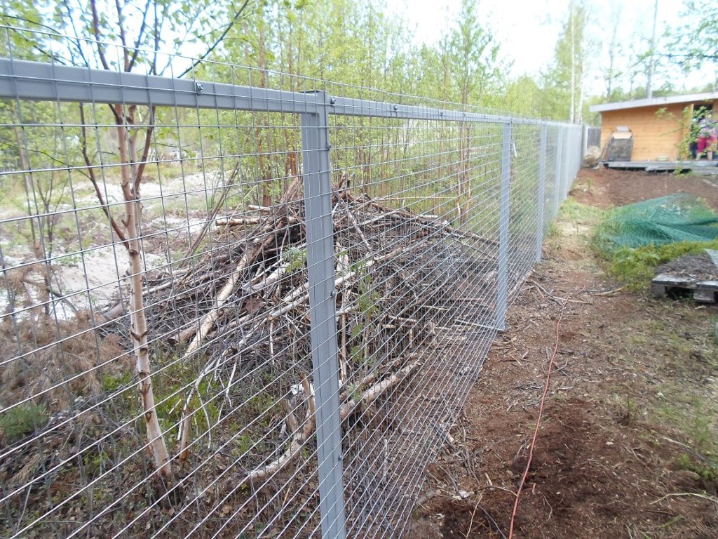 Забор из сетки в Архангельске